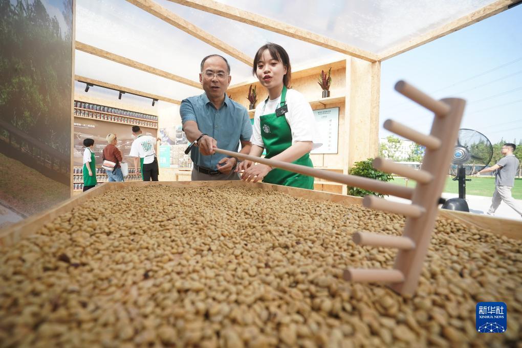 天狮大中华卓越卡登录